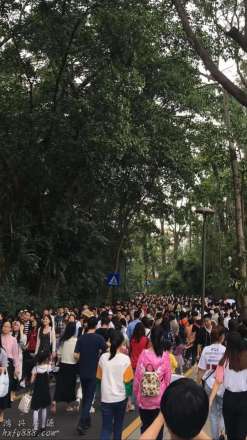 深圳国际花展游客破69.8万，布展物料循环使用，明年继续办