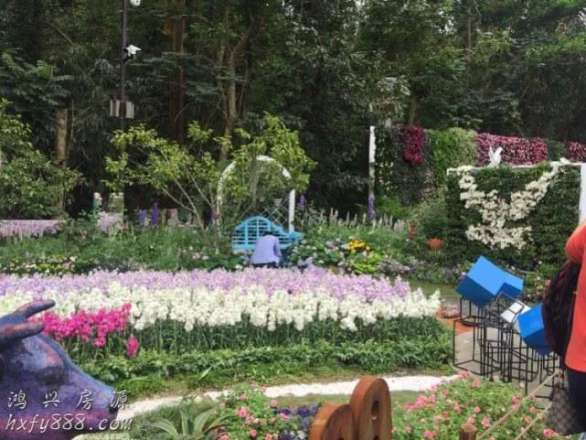 深圳国际花展游客破69.8万，布展物料循环使用，明年继续办