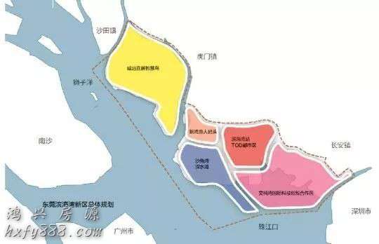 大湾区大学有望落户东莞，为什么是滨海湾新区？