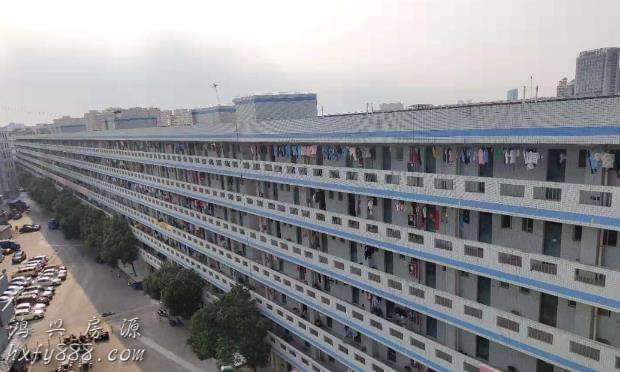 深圳最长宿舍楼号称“长达1公里”，记者亲测实长有误