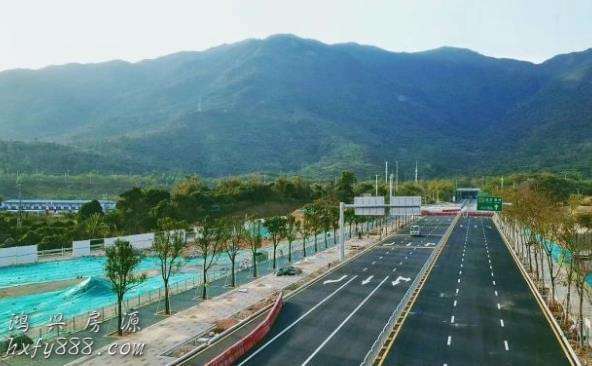 深圳国际生物谷又一主干道通车坝光片区已完成14条道路建设